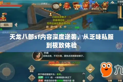 天龙八部sf内容深度逆袭,从乏味私服到极致体验 天龙八部sf内容深度逆袭,从乏味私服到极致体验