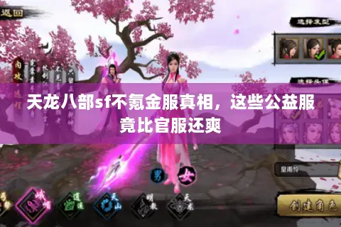 天龙八部sf不氪金服真相，这些公益服竟比官服还爽