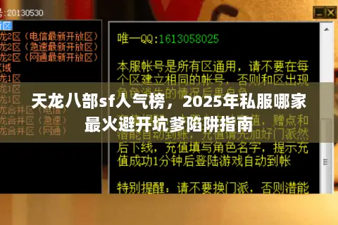 天龙八部sf人气榜，2025年私服哪家最火避开坑爹陷阱指南