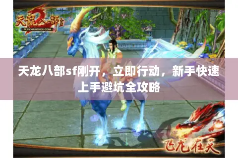 天龙八部sf刚开，立即行动，新手快速上手避坑全攻略