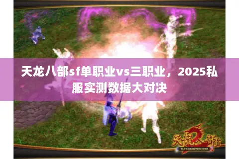天龙八部sf单职业vs三职业,2025私服实测数据大对决 天龙八部sf单职业vs三职业,2025私服实测数据大对决