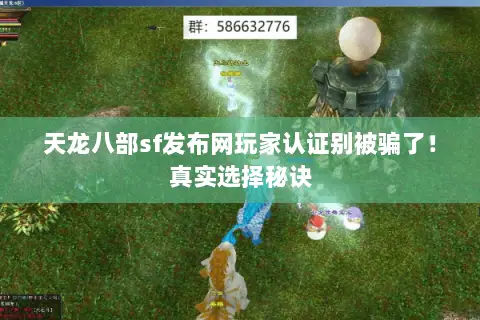 天龙八部sf发布网玩家认证别被骗了!真实选择秘诀 天龙八部sf发布网玩家认证别被骗了!真实选择秘诀