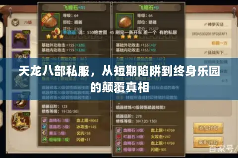 天龙八部私服,从短期陷阱到终身乐园的颠覆真相 天龙八部私服,从短期陷阱到终身乐园的颠覆真相