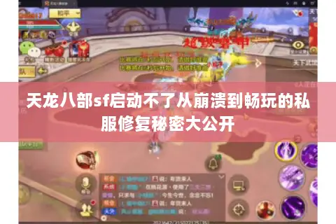 天龙八部sf启动不了从崩溃到畅玩的私服修复秘密大公开 天龙八部sf启动不了从崩溃到畅玩的私服修复秘密大公开