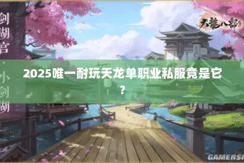 2025唯一耐玩天龙单职业私服竟是它? 2025唯一耐玩天龙单职业私服竟是它?