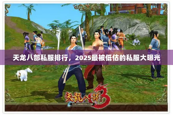 天龙八部私服排行,2025最被低估的私服大曝光 天龙八部私服排行,2025最被低估的私服大曝光