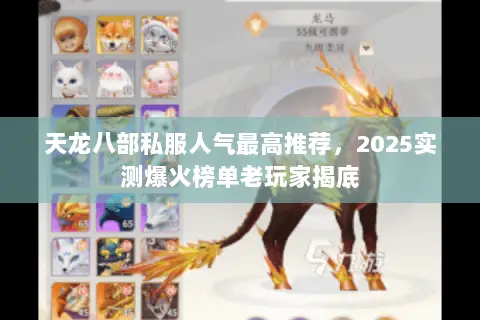 天龙八部私服人气最高推荐,2025实测爆火榜单老玩家揭底 天龙八部私服人气最高推荐,2025实测爆火榜单老玩家揭底