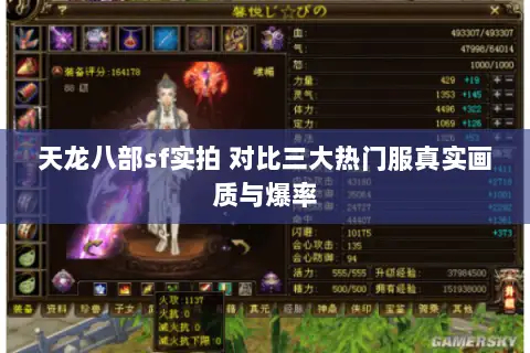 天龙八部sf实拍 对比三大热门服真实画质与爆率 天龙八部sf实拍 对比三大热门服真实画质与爆率