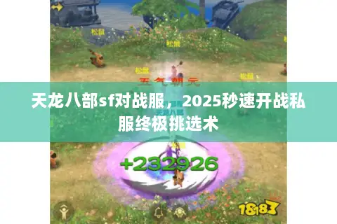天龙八部sf对战服，2025秒速开战私服终极挑选术