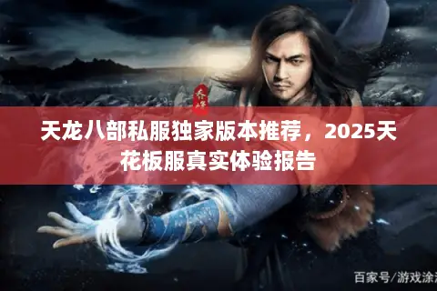 天龙八部私服独家版本推荐,2025天花板服真实体验报告 天龙八部私服独家版本推荐,2025天花板服真实体验报告
