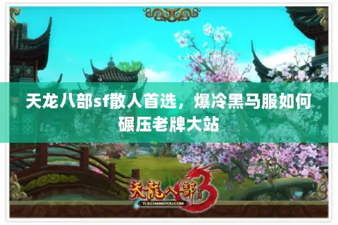 天龙八部sf散人首选，爆冷黑马服如何碾压老牌大站