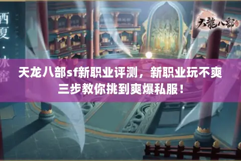 天龙八部sf新职业评测,新职业玩不爽三步教你挑到爽爆私服! 天龙八部sf新职业评测,新职业玩不爽三步教你挑到爽爆私服!