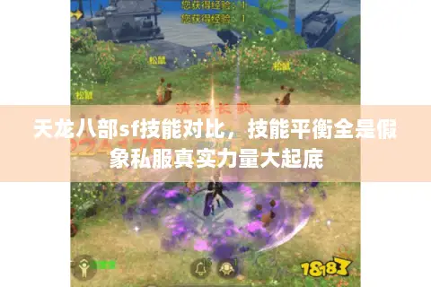 天龙八部sf技能对比,技能平衡全是假象私服真实力量大起底 天龙八部sf技能对比,技能平衡全是假象私服真实力量大起底
