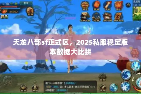 天龙八部sf正式区,2025私服稳定版本数据大比拼 天龙八部sf正式区,2025私服稳定版本数据大比拼