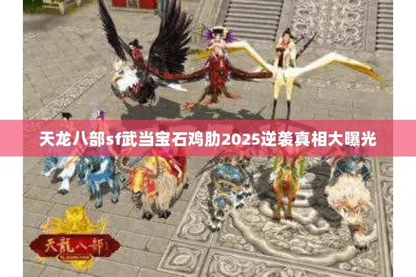 天龙八部sf武当宝石鸡肋2025逆袭真相大曝光