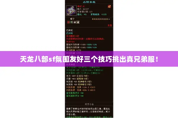 天龙八部sf氛围友好三个技巧挑出真兄弟服！
