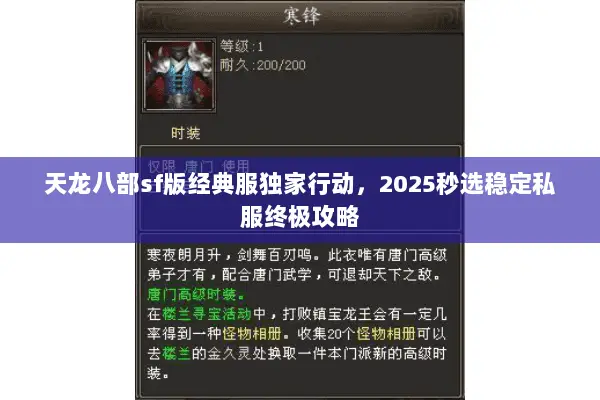 天龙八部sf版经典服独家行动,2025秒选稳定私服终极攻略 天龙八部sf版经典服独家行动,2025秒选稳定私服终极攻略