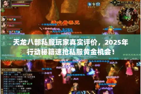 天龙八部私服玩家真实评价，2025年行动秘籍速抢私服黄金机会！
