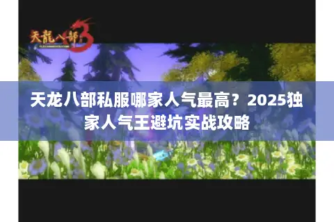 天龙八部私服哪家人气最高？2025独家人气王避坑实战攻略
