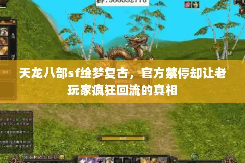 天龙八部sf绘梦复古,官方禁停却让老玩家疯狂回流的真相 天龙八部sf绘梦复古,官方禁停却让老玩家疯狂回流的真相