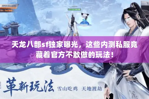 天龙八部sf独家曝光,这些内测私服竟藏着官方不敢做的玩法! 天龙八部sf独家曝光,这些内测私服竟藏着官方不敢做的玩法!