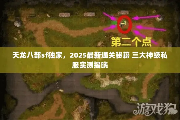 天龙八部sf独家，2025最新通关秘籍 三大神级私服实测揭晓
