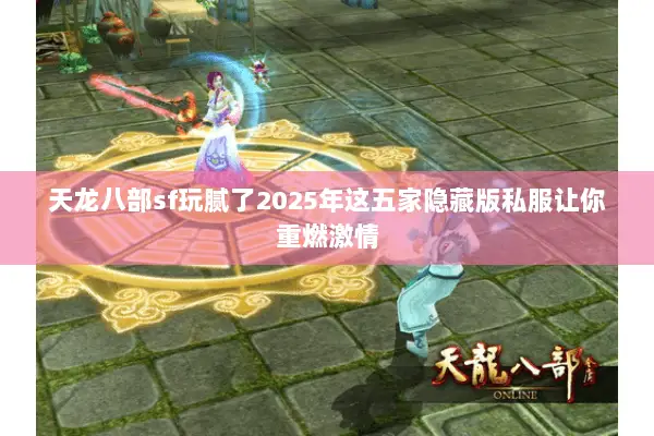 天龙八部sf玩腻了2025年这五家隐藏版私服让你重燃激情 天龙八部sf玩腻了2025年这五家隐藏版私服让你重燃激情