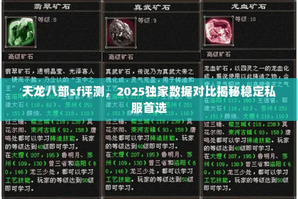 天龙八部sf评测,2025独家数据对比揭秘稳定私服首选 天龙八部sf评测,2025独家数据对比揭秘稳定私服首选