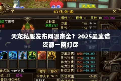 天龙私服发布网哪家全？2025最靠谱资源一网打尽