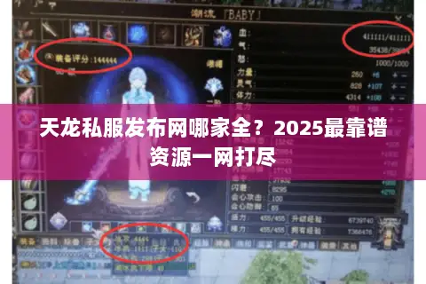天龙私服发布网哪家全？2025最靠谱资源一网打尽