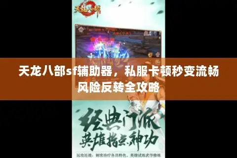 天龙八部sf辅助器,私服卡顿秒变流畅风险反转全攻略 天龙八部sf辅助器,私服卡顿秒变流畅风险反转全攻略