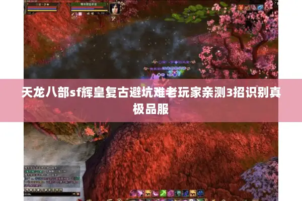 天龙八部sf辉皇复古避坑难老玩家亲测3招识别真极品服 天龙八部sf辉皇复古避坑难老玩家亲测3招识别真极品服