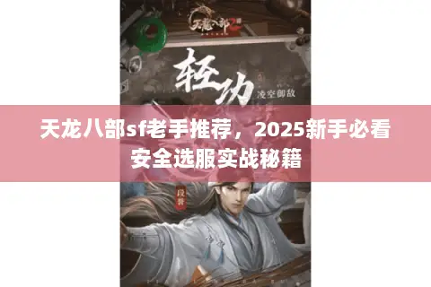 天龙八部sf老手推荐，2025新手必看安全选服实战秘籍