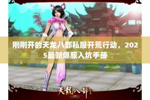 刚刚开的天龙八部私服开荒行动，2025最新爆服入坑手册