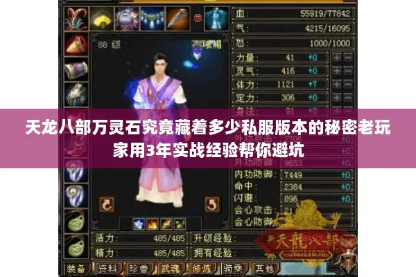 天龙八部万灵石究竟藏着多少私服版本的秘密老玩家用3年实战经验帮你避坑 天龙八部万灵石究竟藏着多少私服版本的秘密老玩家用3年实战经验帮你避坑