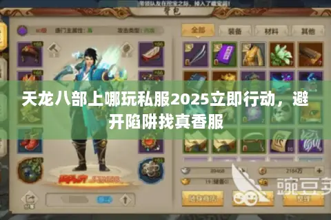 天龙八部上哪玩私服2025立即行动，避开陷阱找真香服