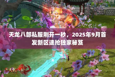 天龙八部私服刚开一秒,2025年9月首发新区速抢独家秘笈 天龙八部私服刚开一秒,2025年9月首发新区速抢独家秘笈