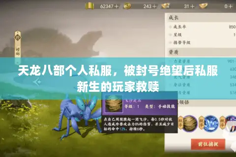 天龙八部个人私服,被封号绝望后私服新生的玩家救赎 天龙八部个人私服,被封号绝望后私服新生的玩家救赎