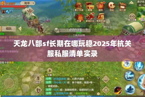 天龙八部sf长期在哪玩稳2025年抗关服私服清单实录 天龙八部sf长期在哪玩稳2025年抗关服私服清单实录