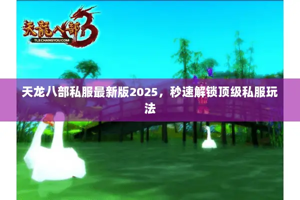天龙八部私服最新版2025,秒速解锁顶级私服玩法 天龙八部私服最新版2025,秒速解锁顶级私服玩法