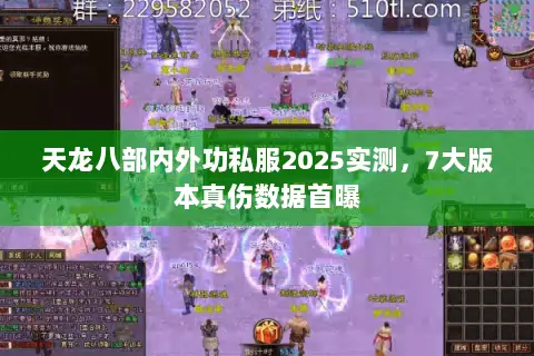 天龙八部内外功私服2025实测,7大版本真伤数据首曝 天龙八部内外功私服2025实测,7大版本真伤数据首曝
