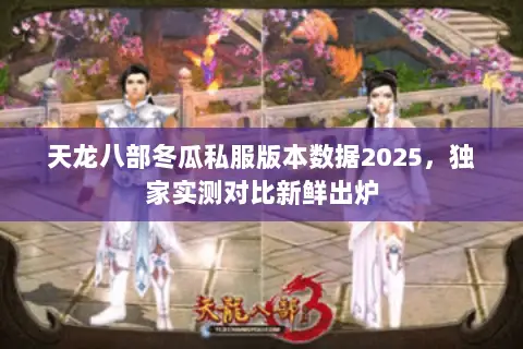 天龙八部冬瓜私服版本数据2025，独家实测对比新鲜出炉