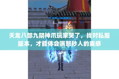 天龙八部九阴神爪玩家哭了,找对私服版本,才能体会满怒秒人的爽感 天龙八部九阴神爪玩家哭了,找对私服版本,才能体会满怒秒人的爽感