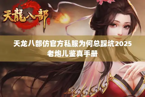 天龙八部仿官方私服为何总踩坑2025老炮儿鉴真手册