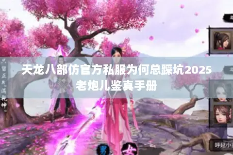 天龙八部仿官方私服为何总踩坑2025老炮儿鉴真手册