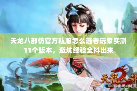 天龙八部仿官方私服怎么选老玩家实测11个版本，避坑经验全抖出来