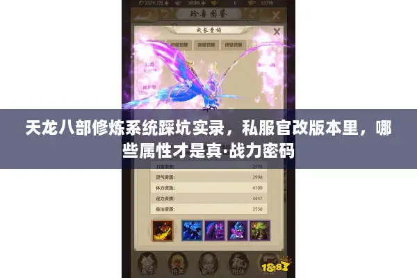 天龙八部修炼系统踩坑实录,私服官改版本里,哪些属性才是真·战力密码 天龙八部修炼系统踩坑实录,私服官改版本里,哪些属性才是真·战力密码