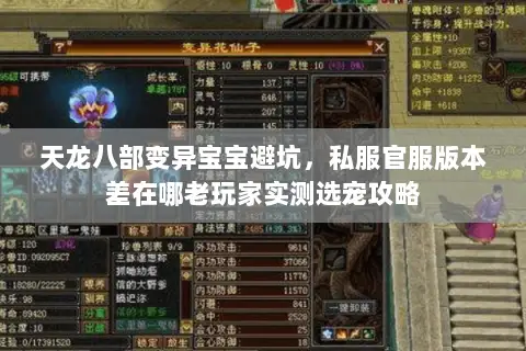 天龙八部变异宝宝避坑，私服官服版本差在哪老玩家实测选宠攻略