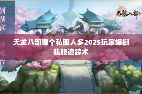 天龙八部哪个私服人多2025玩家爆棚私服追踪术 天龙八部哪个私服人多2025玩家爆棚私服追踪术