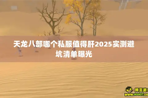 天龙八部哪个私服值得肝2025实测避坑清单曝光